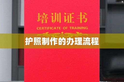 中正护照制作的办理流程