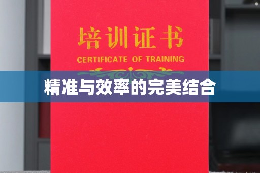 纳雍精准与效率的完美结合